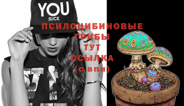 молекула духа Горно-Алтайск